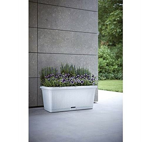 BJYX XL Pflanzkübel Pflanztopf Blumentopf Blumenkübel Pflanzkasten Rattan Rollbar Top (Color : Grau) – Bild 5