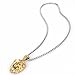 COPAUL Jewelry Punk Men's Stainless Steel Animal Lion Head Shape Pendant Necklace,Gold Color