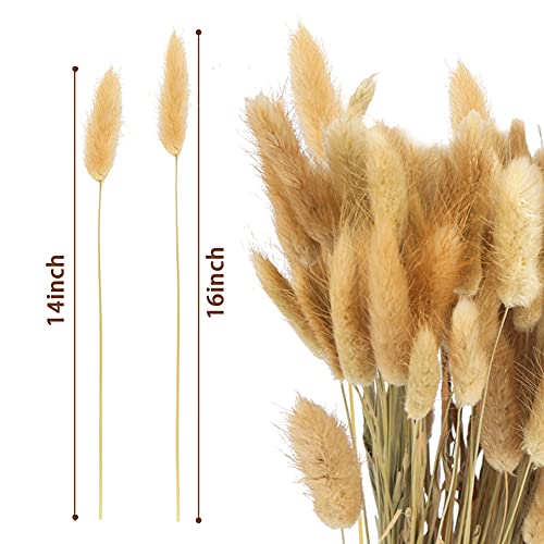 JOHOUSE 120PCS Natural Rabbit\'s Tail Grass, 16inch Dried Pampas Grass Eternal Flower Dried Grass for Wedding Home Decoration Flower Arrangements Photo Props, Primary Color