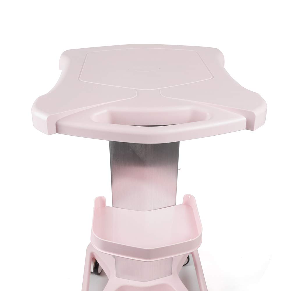 Aluminum Alloy Trolley Stand Assembled For Ultrasonic Cavitation RF Machines Salon Spa Beauty Tattoo Rolling Cart Tray USA STOCK (Pink): Beauty