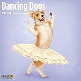 Dancing Dogs Wall Calendar 2020 by 