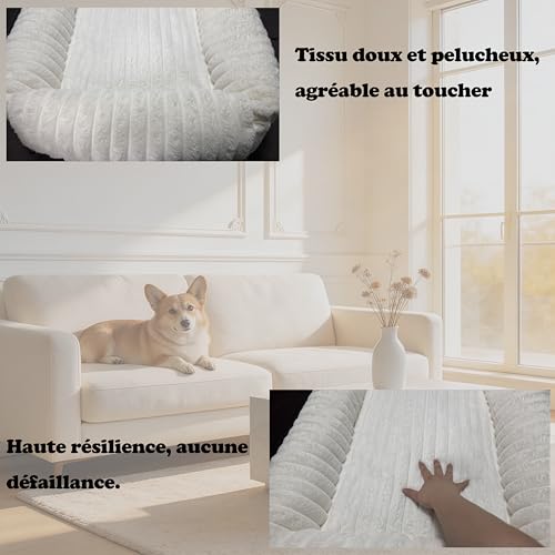 CareCooo XL Rectangular Cream Wavy Texture Dog Bed - Fluffy Cotton Filled Bed, Raised Edges, Removable Washable Cover, Non-Slip