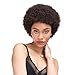 ALICE Afro Wig 4