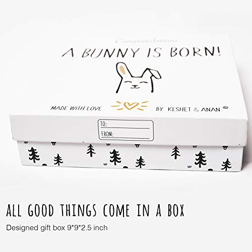 Keshet And Anan Baby Toys Throw Blanket Baby Girl Gifts Set for Newborn Bamboo Muslin Blanket 0-3 Month Romper Bunny Plush Toy