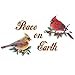 Peace on Earth Holiday Garage Door Magnets, Multi
