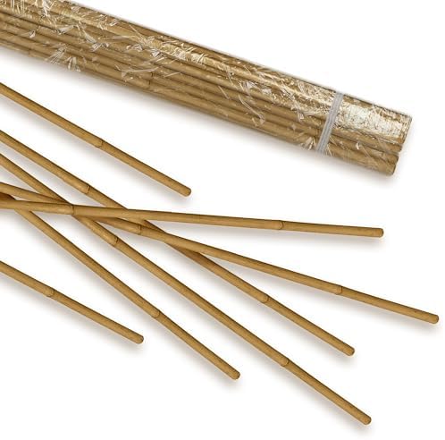 Egardenkart Bamboo Sticks for Plants - 210 Cm, 5 Pcs | Garden Sticks for  Strong Support | Long Plant sticks for Plant Support Stakes (Slim, 5pcs,  210cm) price in UAE | Amazon UAE | kanbkam