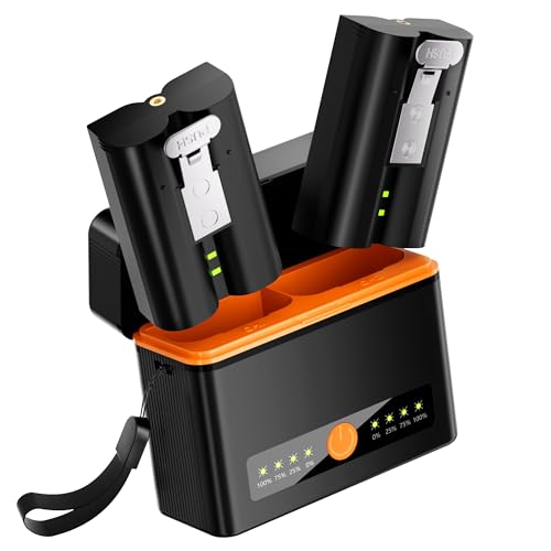 Ring Lesaps Replacement Battery