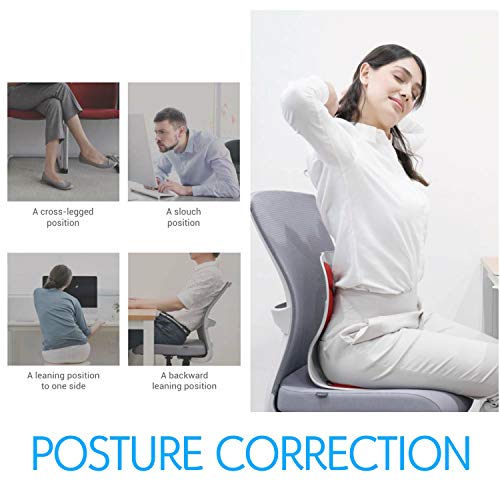 Curble Chair Wider (Black) / Back Brace, Posture Correction & Lumbar Support. Sit! The Back