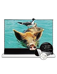 VIVIDSTORM-Projection Screens S PRO P 120inch