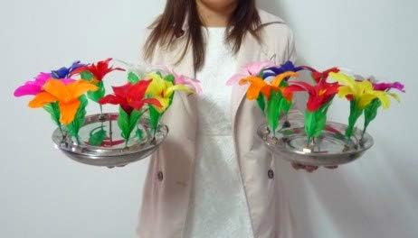 J Stage Double 食品 飲料 お酒 Flowers From Fire ドラッグストア Pan ファイアーパンから二重の花 ゲーム マジック 手品 B07pd9qxzr