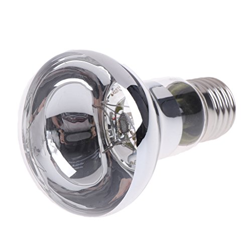 Qupida Basking Spot Lamp 25/50/75/100 WATT UVA UVB Mercury Vapor Bulb/Lamp/Light for Reptile and Amphibian Use (Transparent, 100)