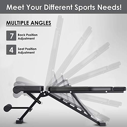 FLYFE Adjustable Weight Bench Foldable and Compact Workout Bench Incline and Decline Flat
