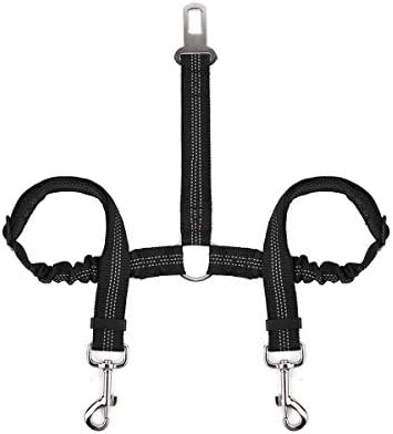 baby boxer puppies for sale