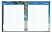 Blue Sky 103717 2018 Weekly & Monthly Planner, Twin-Wire Binding, 8.5