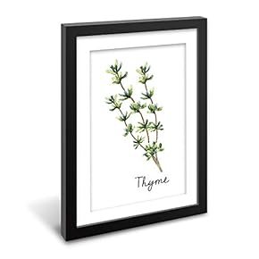 Black Paper Framed for Living Room Bedroom Simple Herbs for