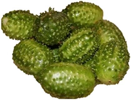 Amazon ピクルス超小型きゅうり 種 36粒 野菜