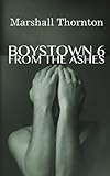 Boystown 6: From The Ashes (Boystown Mysteries) (Volume 6)