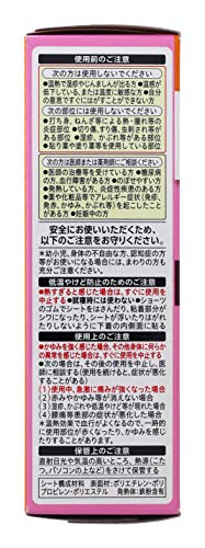 Buy Kao Megurism Health Care Steam Warm Sheets Put On Underwear X 5 By Kao Online At Low Prices In India Amazon In