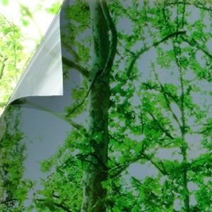 Gila Titanium Window Film - Image 2