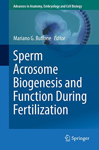 Sperm Acrosome Biogenesis and Function During Fertilization (Advances in Anatomy, Embryology and Cel by Springer