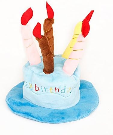 Lanyarco Universal Birthday Hats with Cake for Puppy Small Medium Cats Dogs, Blue