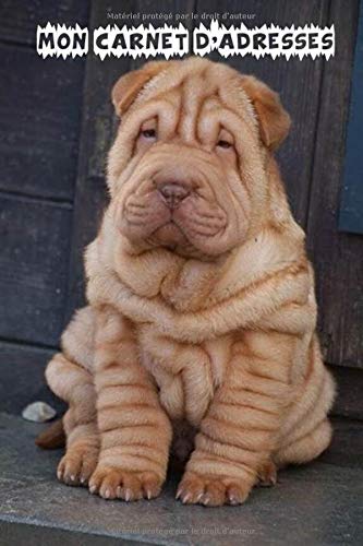 Mon Carnet D Adresses Repertoire Telephonique Petit Format A Remplir De 425 Contacts Avec Fiches Detaillees 6 X 9 Po 15 24 X 22 86 Cm Animaux Berger Golden Humour French Edition Editions Privees Repertoire Amazon