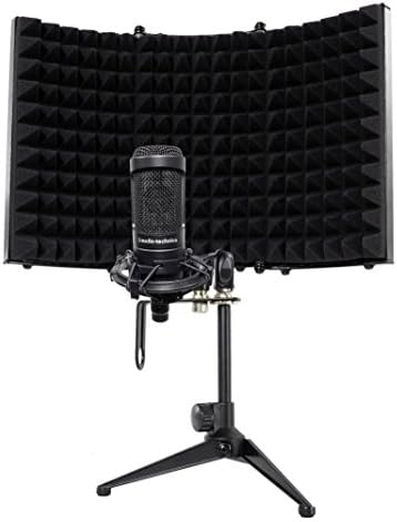 Audio Technica AT2050 Side-Address Studio Condenser Recording Microphone Bundle with Rockville RockShield 1 Studio Microphone Isolation Shield w/Sound Dampening Foam