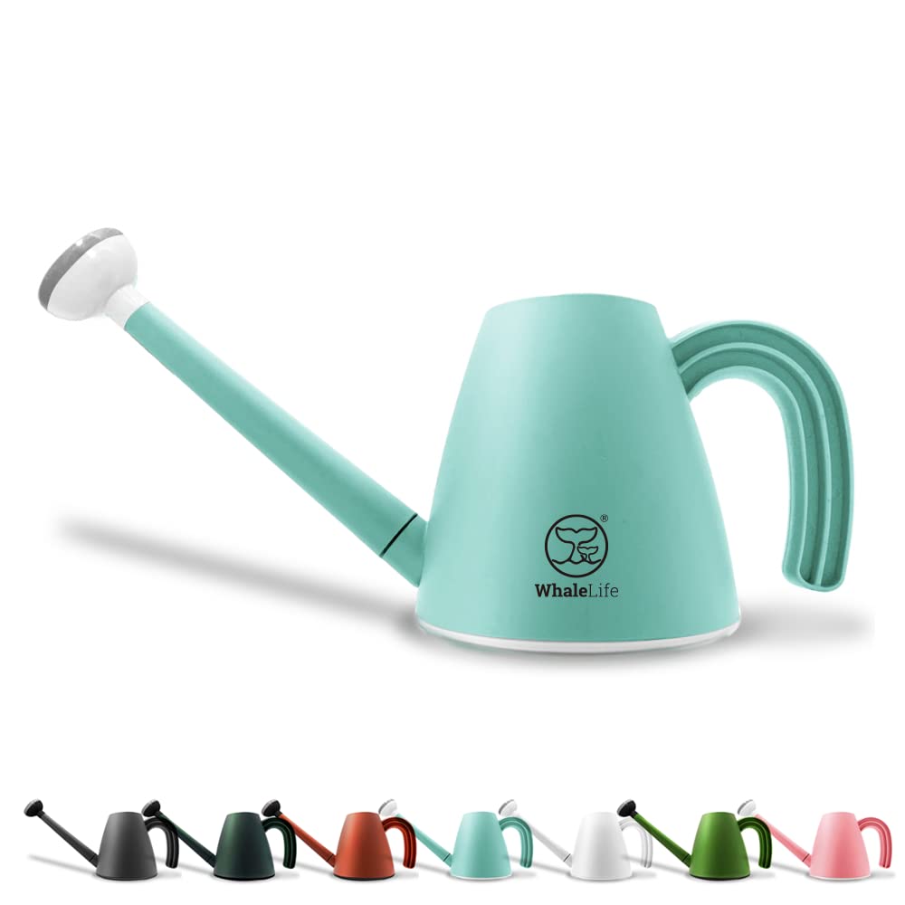 Photo 1 of *Untested*
WhaleLife Indoor Watering Can for House Bonsai Plants (2.0L, Blue)