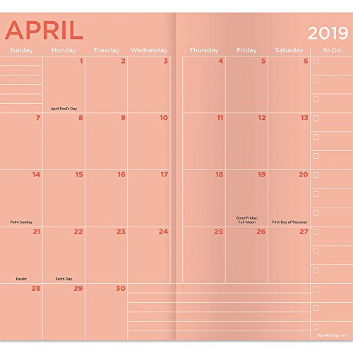 Time Factory Dots 3.5" x 6.5" January 2019-December 2020 2-Year Pocket Planner (19-7221)