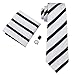 Barry.Wang Men's Classic White Black Striped Tie Set