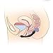 FST Anal Dildo Body Safe Silicone G-Spot Prostate Stimulation, Waterproof Butt Plug for Men and Women Anal Sex Toy