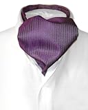 Antonio Ricci ASCOT Solid PURPLE Ribbed Pattern Color Cravat Men's Neck Tie
