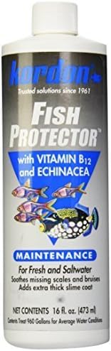 KORDON #31456 Fish Protector for Aquarium, 16-Ounce by KORDON LLC