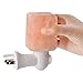 LUNSY Himalayan Pink Salt Lamp Night Light Hand Carved Natural Crystal, 7W Bulb