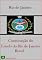 Livro Constituição do Estado do Rio de Janeiro - Brasil (Leis do Brasil Livro 1)