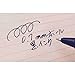 Tombow Havanna Liquid Ink Roller Ball Pen - 0.7 mm - Burgundy