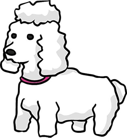miniature poodle drawing