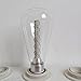 Cmyk Dimmable 6w Edison LED Bulb Vintage Light Bulb Retro (Energy Save) Warm White 110v E26 Screw - Squirrel Cage