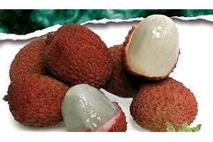 MELISSA'S PRODUCE Melissa's Fresh Lychees, (2 lb)