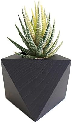 Teak Geometric Planter - Octa (Black) for Home Office Desk Garden Decoration