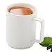 WonderSlim High Protein Hot Cocoa, Mint - Low Calorie, Low Sugar, Low Fat, 12g Protein (7ct)