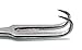 2 Pcs Joseph Skin Double Hook 2mm, 5mm Sharp Prong 6.25