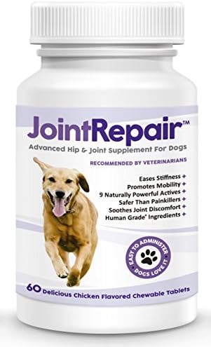 Advanced Hip &amp; Joint Supplement for Dogs - Fast Natural Arthritis Pain Relief. Extra Strength Glucosamine, Chondroitin, MSM, Hyaluronic Acid &amp; Omega 3 Fish Oil. Made in USA - 60 Soft Chews