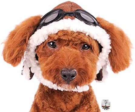 Charmed Aviator Pilot Hat with Goggles for Dogs in Sizes XS Thru XL (X-Large, Brown)
