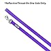 Pawtitas 6 FT Comfortable Dog Leash - Reflective Handle, Heavy Duty Training Leash for Puppies & Small Dogs - Purple