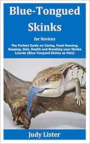 keeping skinks as pets