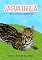 Livro Jaguatirica (Para crianças pequenas)