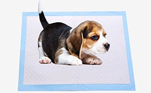DOiD Pet Training Pads and Puppy Pee Pads Super Absorbent Deodorant and Soft of Pet Pads