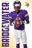 Minnesota Vikings - T Bridgewater 14 Poster 22 x 34in