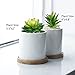 Hecaty 5 Pcs Faux Succulents Set, Realistic Fake Succulents, Artificial Hanging Ornaments Fleshed Plant Textured for Home Garden Wedding Party Decoration (Green)